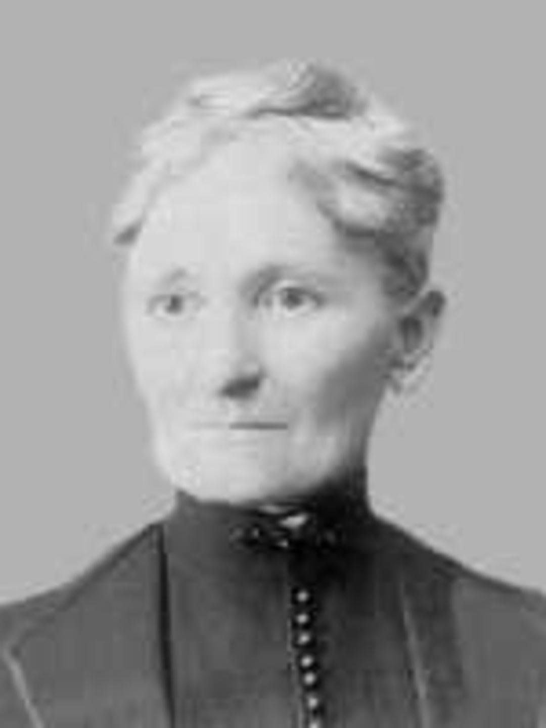 Mary Ann Johnson (1831 - 1915) Profile